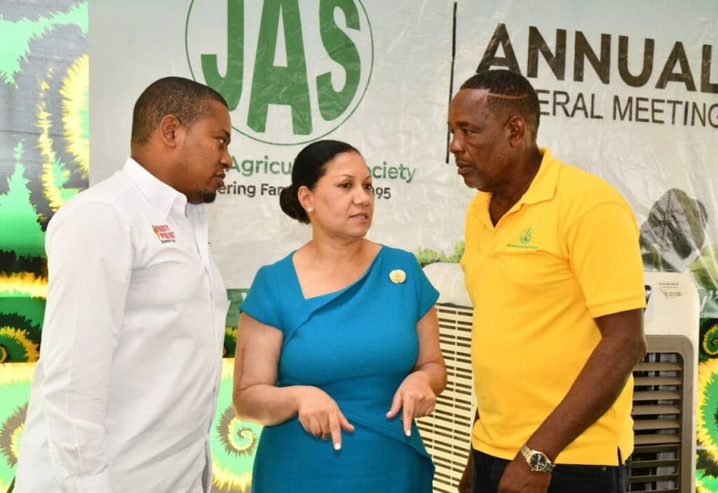 Agri minister wants redesign of Denbigh Showground, more farm stores
