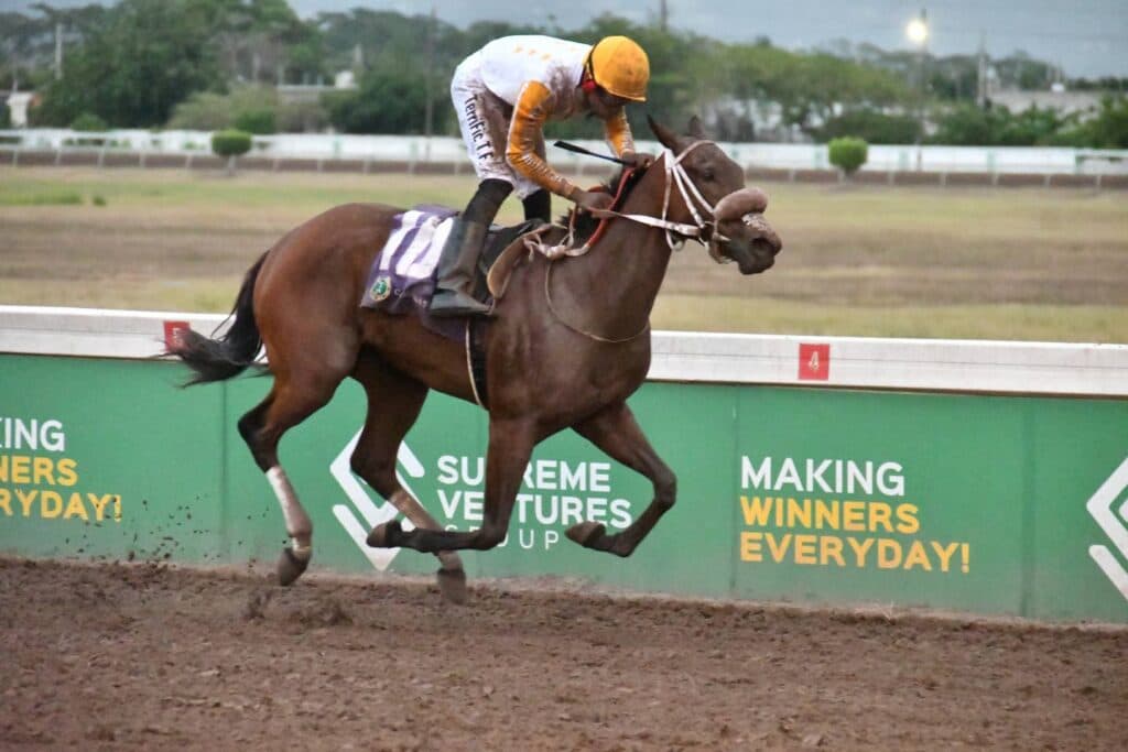 No stopping Dream Catcher in Jamaica Oaks Classic