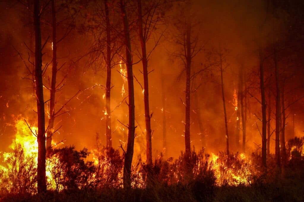 Fires in Europe — latest developments