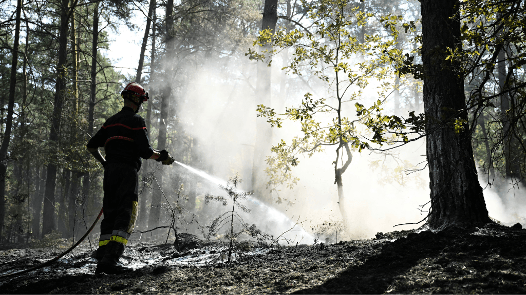 Macron pledges ‘zero tolerance’ for arson after spate of fires in France