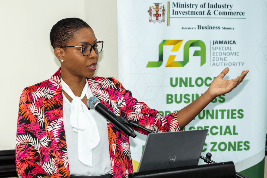 JSEZA to digitise application process to improve ease of doing business
