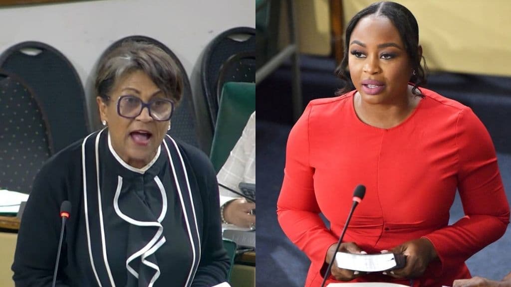 Silencing Opposition MPs threatens Jamaica’s parliamentary democracy, says PNP