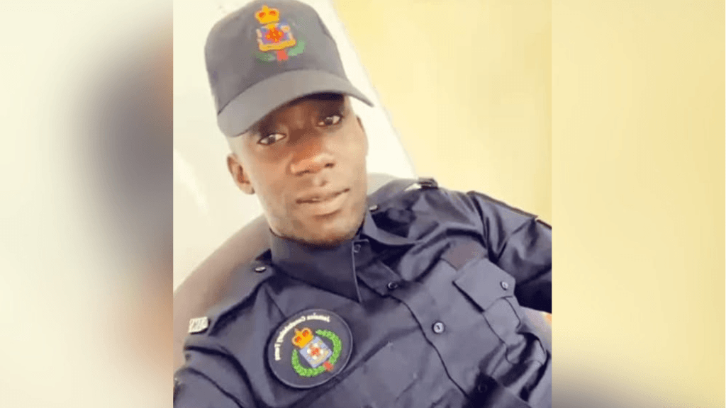 Traffic cop dies in Clarendon crash