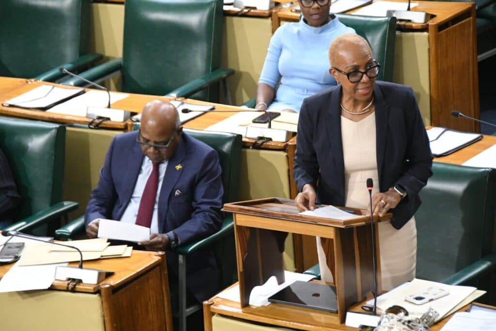 More than two dozen entities identified for JSE Micro Market, says Williams