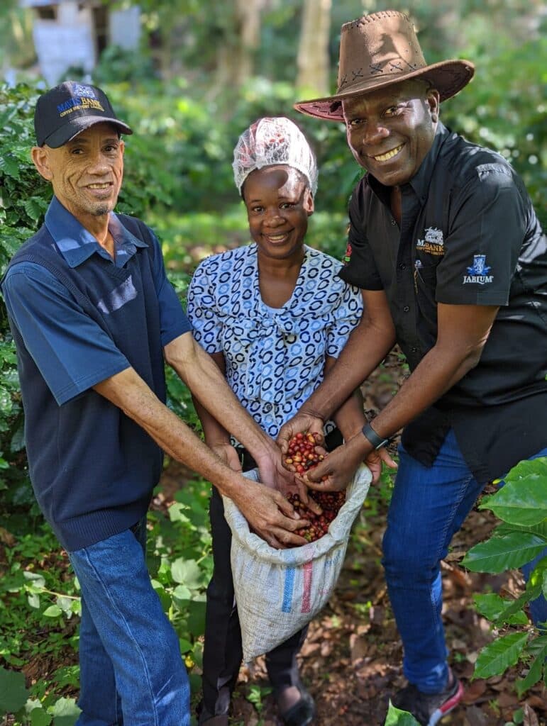 Mavis Bank Coffee Factory achieves Safe Quality Food Recertification