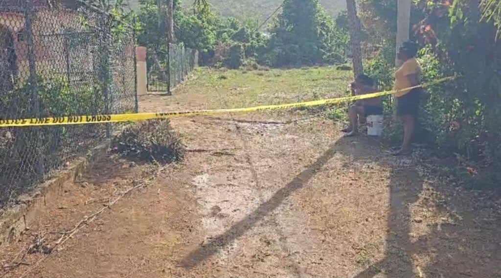 âBugheadâ fatally shot by police in St Elizabeth, gun seized