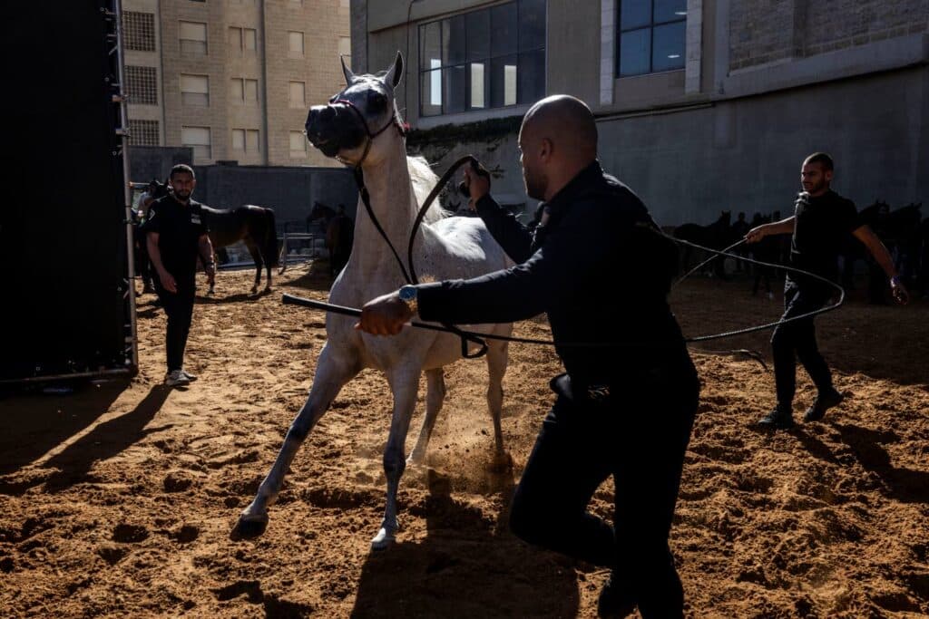 âIn our bloodâ: Palestinians keep horse culture alive against all odds