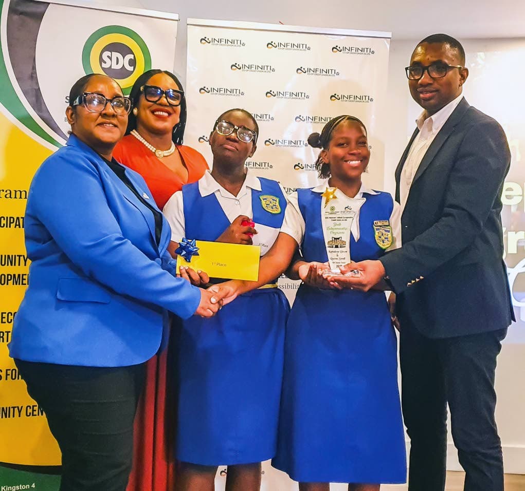 Hanover youth business pilot soars