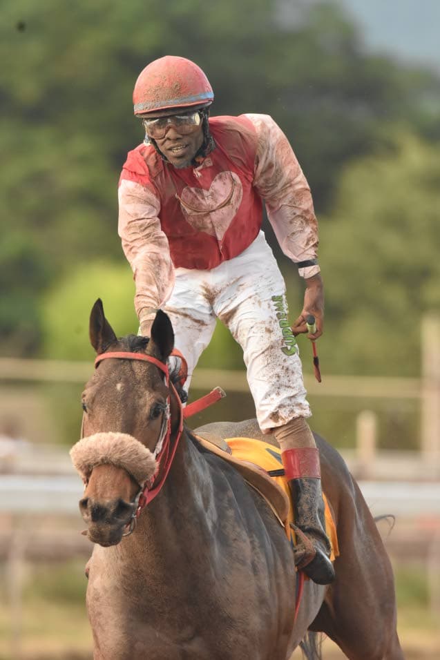 Nelson, She’s A Maneater put on masterclass to win 2017
