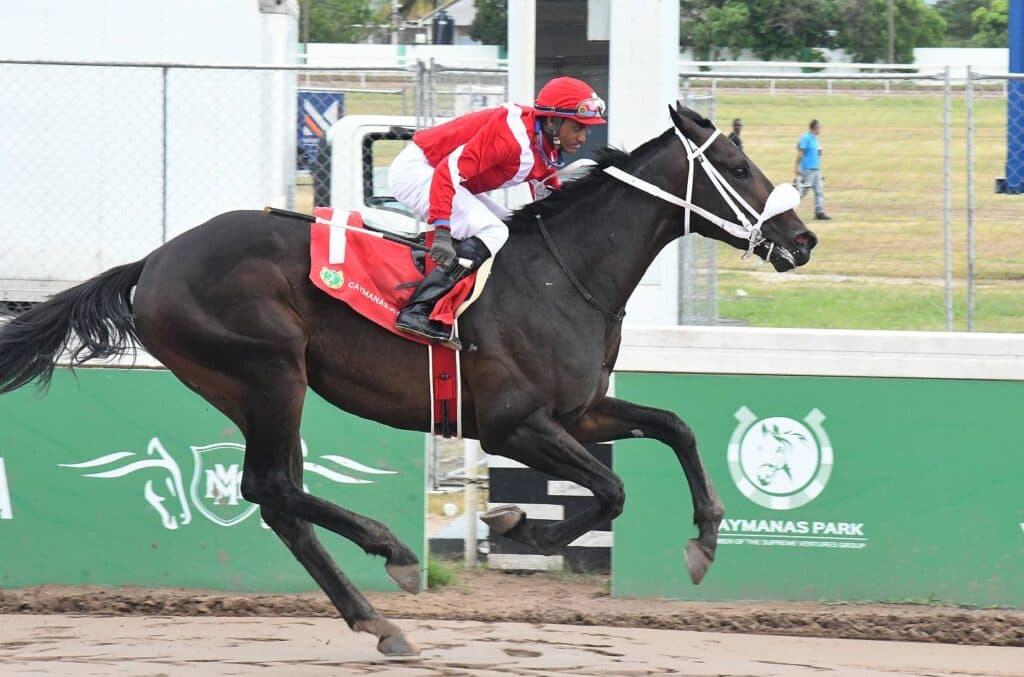 Girvano, Phenomenal Power headline Clovis Metcalfe feature