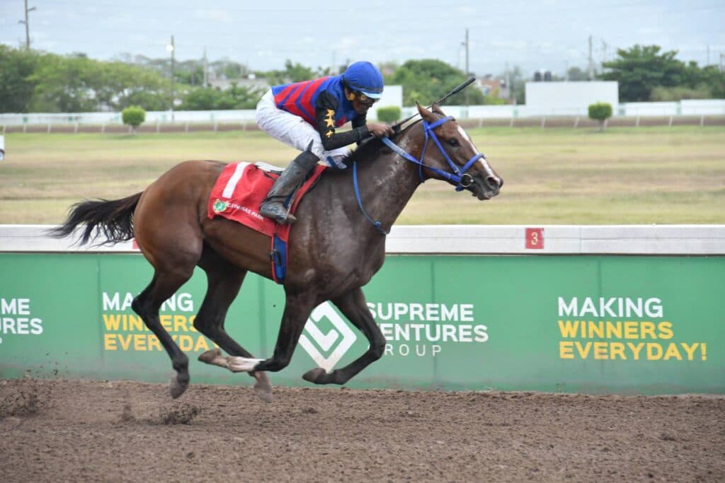 RACE DAY REVIEW FOR SATURDAY, JULY 4, 2026