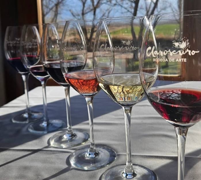 The Four Wines That Showcased Argentina’s Excellence at the 2026 IWSC