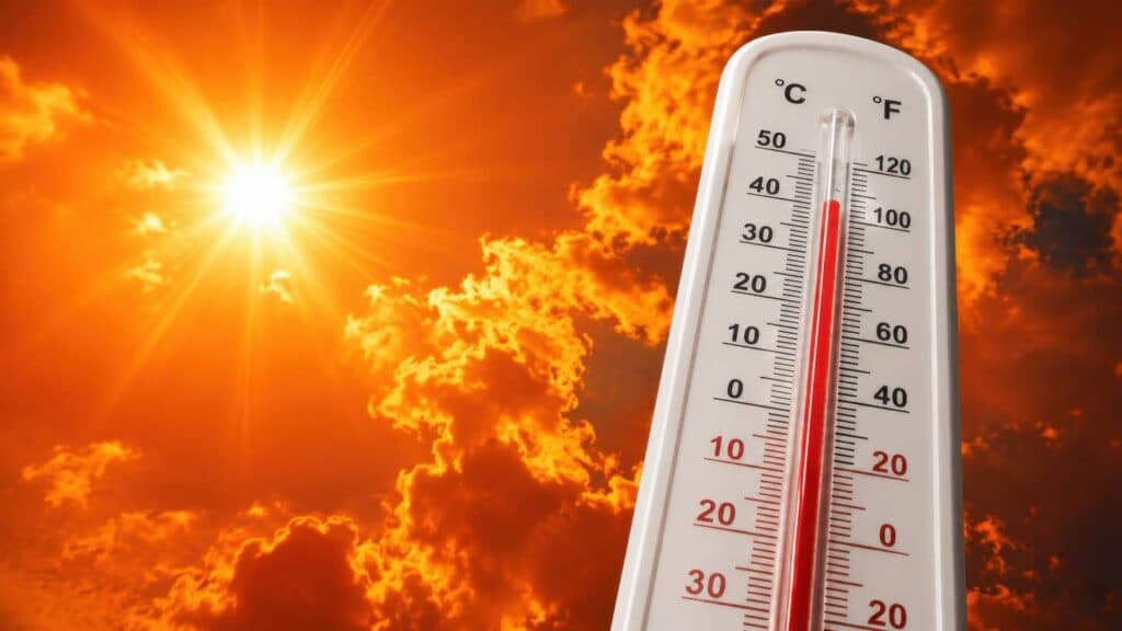 Caribbean urged to brace for recurrent heatwaves, drought conditions