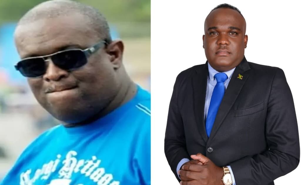 Fitz-Henley leads Senate tributes to Stephen Francis