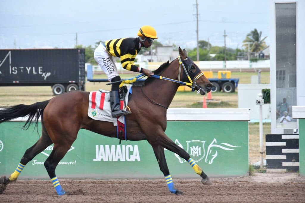 We Jammin favoured as 16 line up for $7.5-m Jamaica Derby Classic