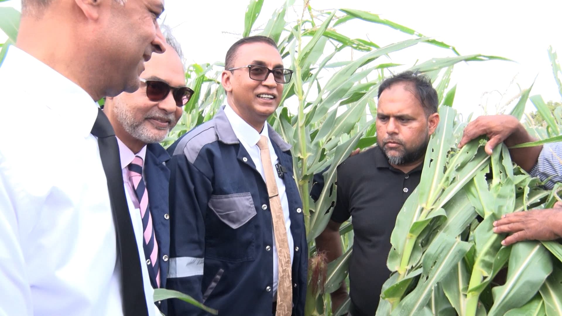 Government’s Corn Production Initiative Could Slash T&T’s Food Import Bill