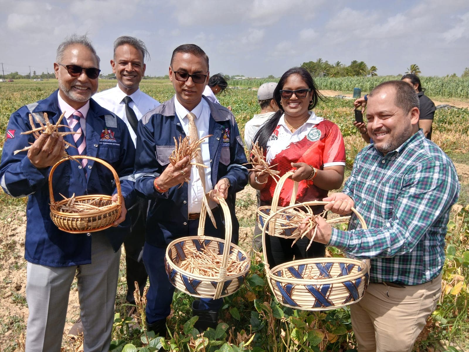 Government Harvests First Yield From Black Eye Bean Pilot Project