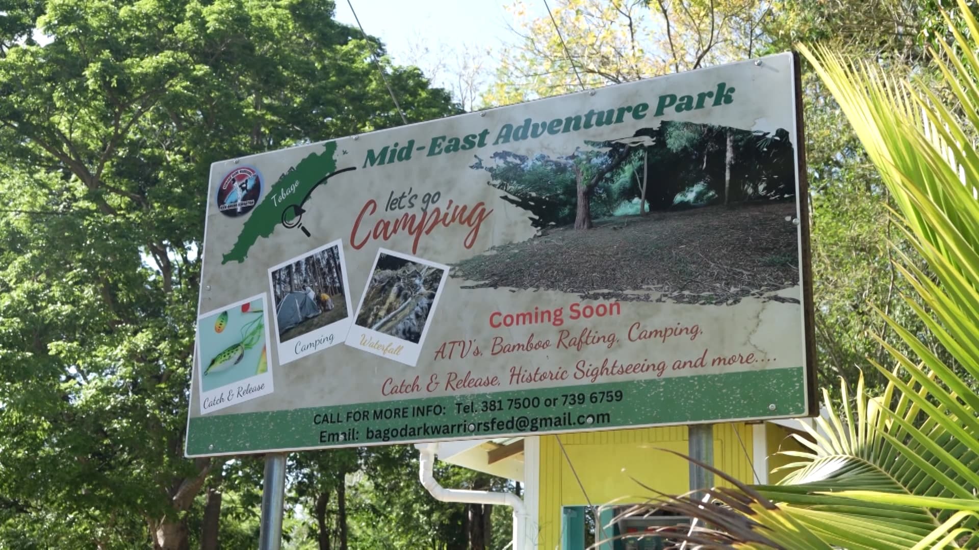 Tobago Reforestation Programme Highlights Sustainable Development Success
